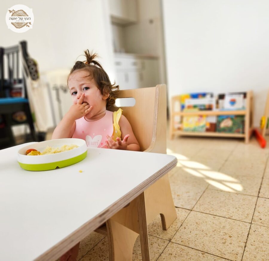 כיסא מתכוונן 1